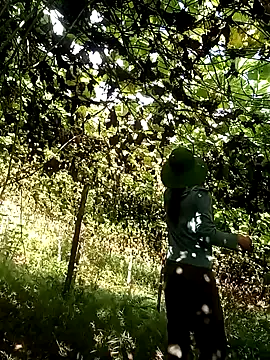 ngan-cute online show from 10.18.25