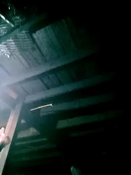 ngan-cute online show from 03.05.26