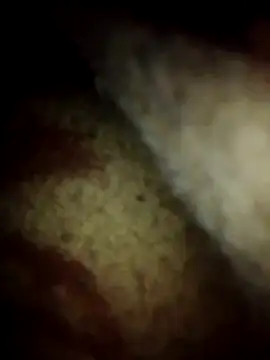 gostoso delas 2 online show from 11.21.25