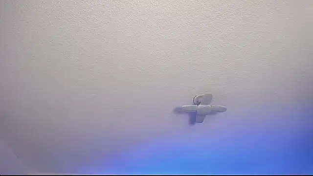  Charlotte Collins  online show from 02.09.26