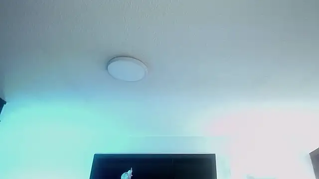  Charlotte Collins  online show from 04.22.26
