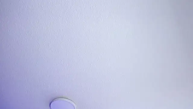  Charlotte Collins  online show from 07.18.26