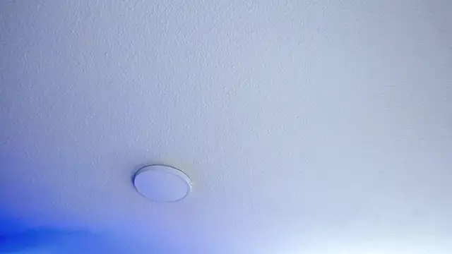  Charlotte Collins  online show from 07.23.26
