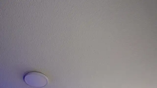  Charlotte Collins  online show from 07.24.26