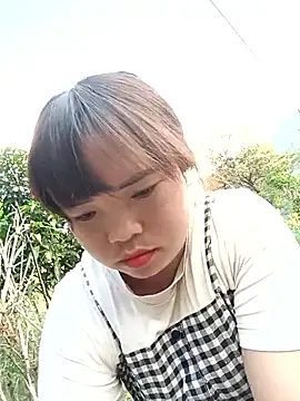AnHa19 online show from 04.24.26