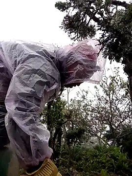 tcm-cute online show from 11.03.25