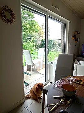 Snapshot of CornetDeGlace chatting on 10.31.25 CornetDeGlace online show from 10.31.25