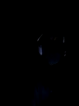 Snapshot of MODEST11_MMiILOO_AMARO chatting on 11.18.25 MODEST11 MMiILOO AMARO online show from 11.18.25