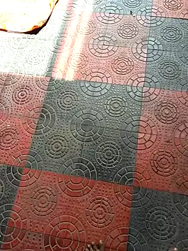 Snapshot of Telugu_coupul chatting on 10.11.25 Telugu coupul online show from 10.11.25