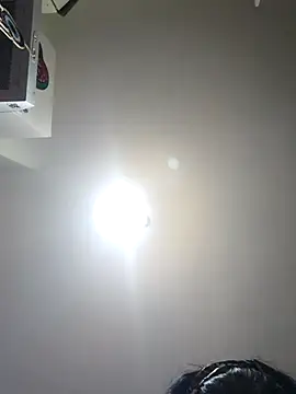 TaraWild online show from 09.19.25