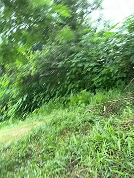 magraocam online show from 03.19.26