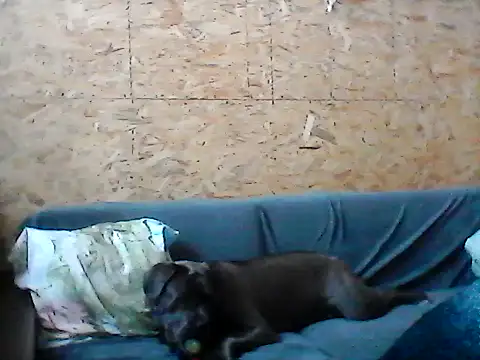 Snapshot of Milana38 chatting on 01.16.26 Milana38 online show from 01.16.26