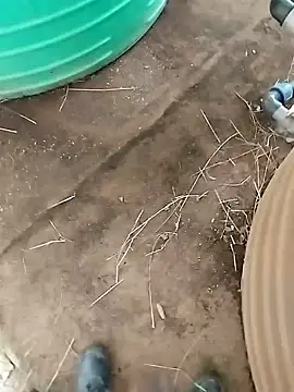 Snapshot of BigboyDick2 chatting on 10.20.25 BigboyDick2 online show from 10.20.25