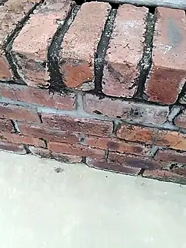 Snapshot of BigboyDick2 chatting on 11.14.25 BigboyDick2 online show from 11.14.25