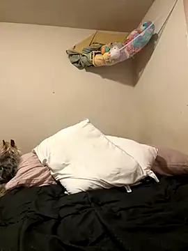 Snapshot of VanessaRose5362 chatting on 10.14.25 VanessaRose5362 online show from 10.14.25