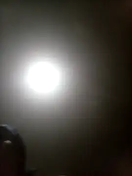 Bebicho14 online show from 03.17.26