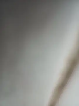 Jobson40 online show from 10.16.25