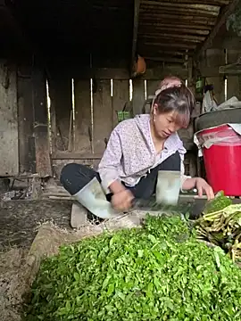 Mai bb online show from 11.06.25