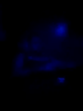 Snapshot of johnboones10 chatting on 11.16.25 johnboones10 online show from 11.16.25