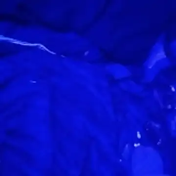 Snapshot of johnboones10 chatting on 03.04.26 johnboones10 online show from 03.04.26