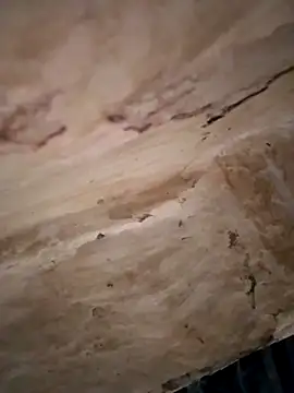 Snapshot of Sexy_hot66 chatting on 09.16.25 Sexy hot66 online show from 09.16.25