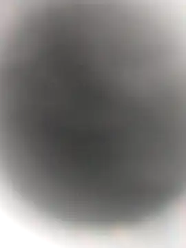 Necroforo online show from 02.14.26