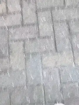 Snapshot of boxerundsocken91 chatting on 03.09.26 boxerundsocken91 online show from 03.09.26