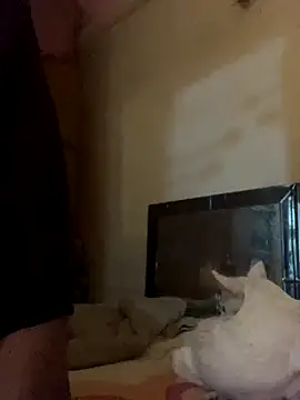 Kajal-Shemale69 online show from 11.17.25