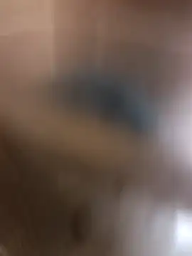 Snapshot of kirikou0644 chatting on 03.10.26 kirikou0644 online show from 03.10.26