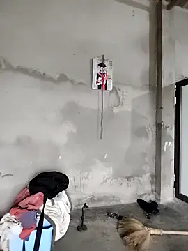 Tin tanny online show from 02.11.26