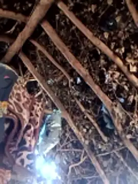 Snapshot of Hot_rachnasexy chatting on 03.09.26 Hot rachnasexy online show from 03.09.26