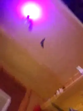 Snapshot of Dirty_D187 chatting on 10.10.25 Dirty D187 online show from 10.10.25