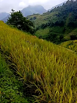 Snapshot of samsam-bae chatting on 09.14.25 samsam-bae online show from 09.14.25