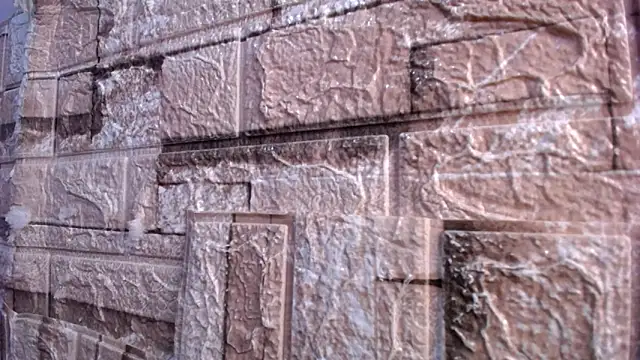 Bicky 24 online show from 03.02.26