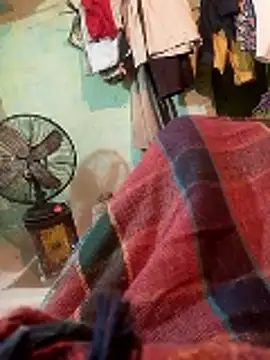 CUTE-004 online show from 01.11.26