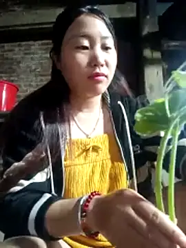 siki-00 online show from 10.25.25