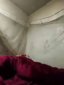 siki-00 online show from 01.07.26