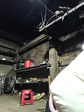 siki-00 online show from 03.13.26