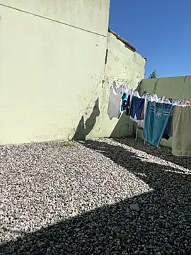 cat9269 online show from 11.11.25