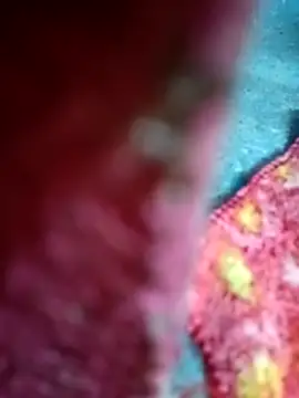 Snapshot of Sharmili_xx chatting on 09.25.25 Sharmili xx online show from 09.25.25