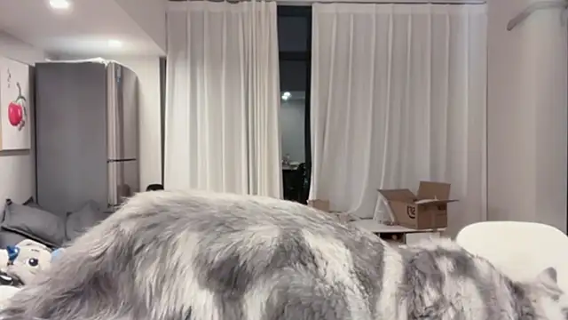 ZhaoZhao-ZM online show from 10.11.25