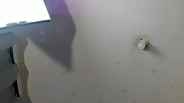 Ambeer fox  online show from 02.23.26