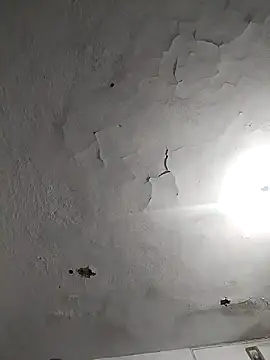 Snapshot of Ferxxxo1503 chatting on 11.08.25 Ferxxxo1503 online show from 11.08.25