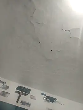 Snapshot of Ferxxxo1503 chatting on 12.02.25 Ferxxxo1503 online show from 12.02.25