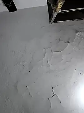 Snapshot of Ferxxxo1503 chatting on 02.06.26 Ferxxxo1503 online show from 02.06.26