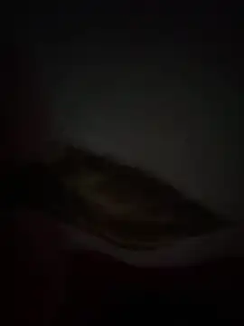 Snapshot of Flash356 chatting on 02.24.26 Flash356 online show from 02.24.26