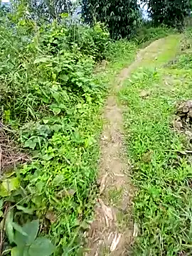 kemtuoi-sex online show from 06.07.26