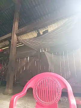 riso-00 online show from 10.21.25