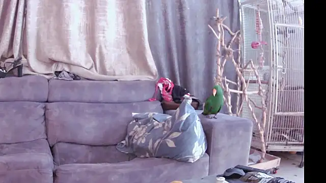 Snapshot of Alexis21821 chatting on 11.13.25 Alexis21821 online show from 11.13.25