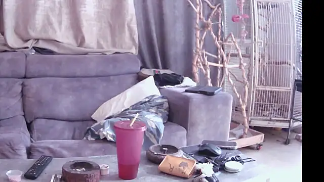 Snapshot of Alexis21821 chatting on 11.14.25 Alexis21821 online show from 11.14.25